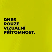 DNES POUZE VIZUÁLNÍ PŘÍTOMNOST.