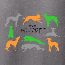 Whippet barevný