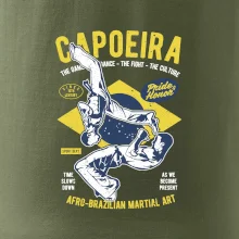 Capoeira  Afro-brazil art