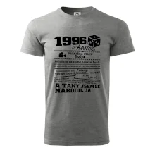 1996 v kostce