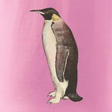 Tučňák kreslený vodovými barvami