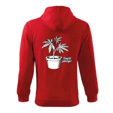 Konopi prostě pěstuju