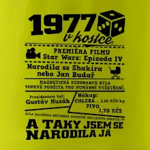 1977 v kostce