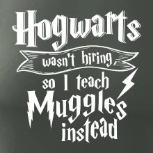 Harry - Hogwarts wasn’t hiring, so I teach Muggles instead