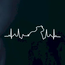 Stafordšírsky bulteriér EKG