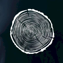 Letokruhy 40 bez věku