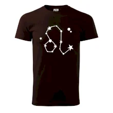 Souhvězdí - Leo - Lev