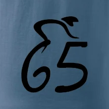 Cyklista slaví pětašedesátku (65)