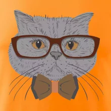 Hipster britská modrá