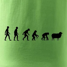 Evoluce ovce