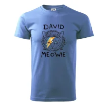 David Meowie