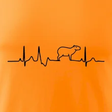 Ekg Capybara