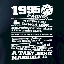 1995 v kostce