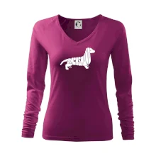 Jezevčík - Dachshund