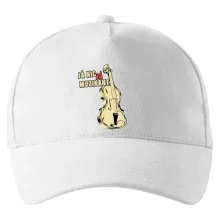 Já nic, já muzikant