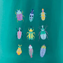 Barevní brouci (studio-arte.cz)