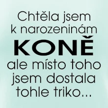 Chtěla jsem dostat k narozeninám koně