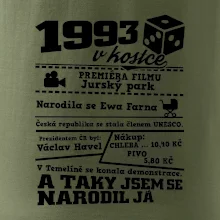 1993 v kostce