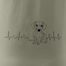 EKG křivka jezevčík