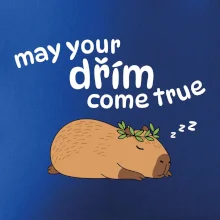 May your dřím come true
