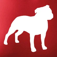 Americký stafordširský teriér  Na prsu