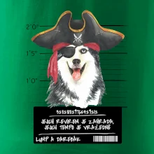 Lump a darebák husky