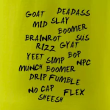 Generace Z - Gen Z slovník