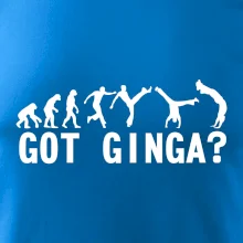 Capoeira - Got Ginga