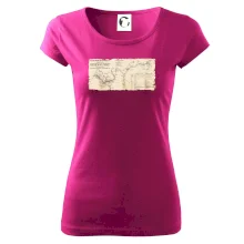 Mapa Báňské dráhy z Moravské Ostravy do Doubravy