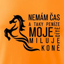 Nemám čas a taky peníze - Kůň