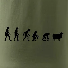 Evoluce ovce