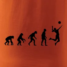 Evoluce volejbal culík