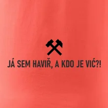 JÁ SEM HAVIŘ, A KDO JE VIĆ?!﻿