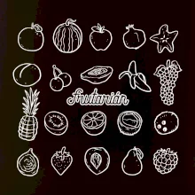 Frutarián ovoce ve čtverci