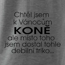 Chtěl jsem dostat k Vánocům koně