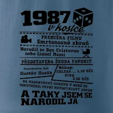 1987 v kostce
