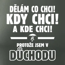 Dělám co chci, kdy chci důchod