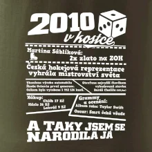 2010 v kostce