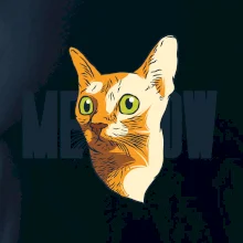 Kočka meow