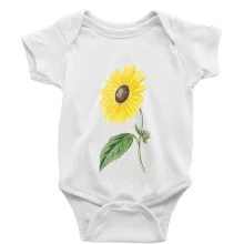 Slunečnice otočená