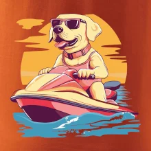 Zlatý retrívr na vodním skútru