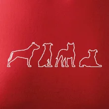 Americký stafordširský teriér v různých pozicích