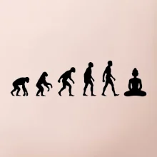 Evoluce budha