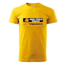 Jsem týhle stavby vedoucí