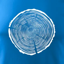 Letokruhy 95 bez věku