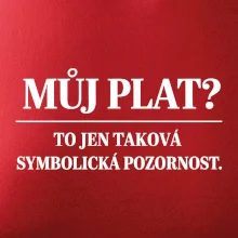 Můj plat? to jen taková symbolická pozornost