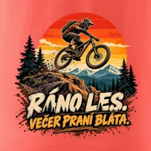Ráno les večer praní bláta na kole