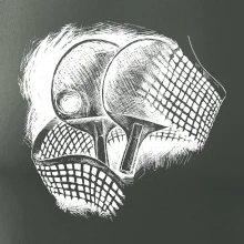 Ping pong pálky a síť