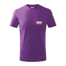 SDH nápis (oheň, název sboru - vlastní nápis)