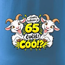 Těmhle holkám je 65, čučíš co?